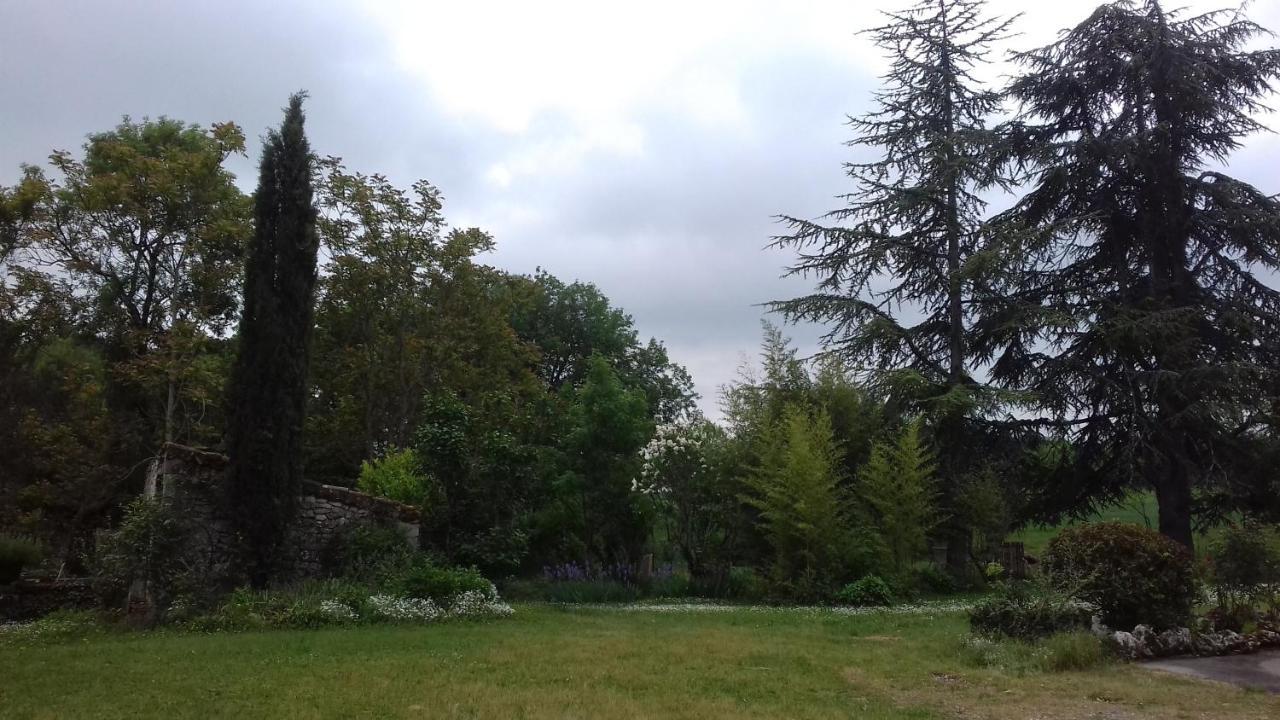 Domaine De Seguela Panzió Fargues  Kültér fotó