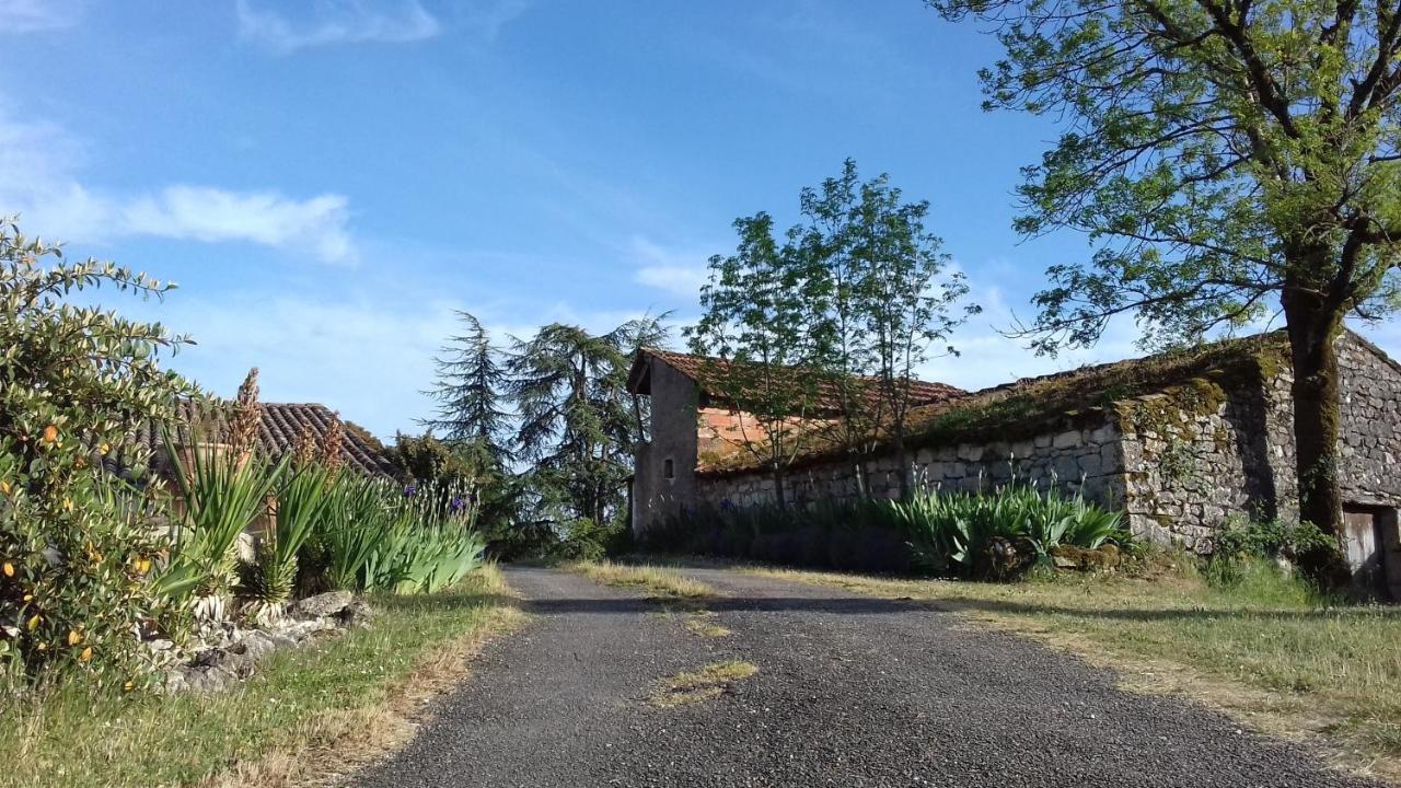 Domaine De Seguela Panzió Fargues  Kültér fotó
