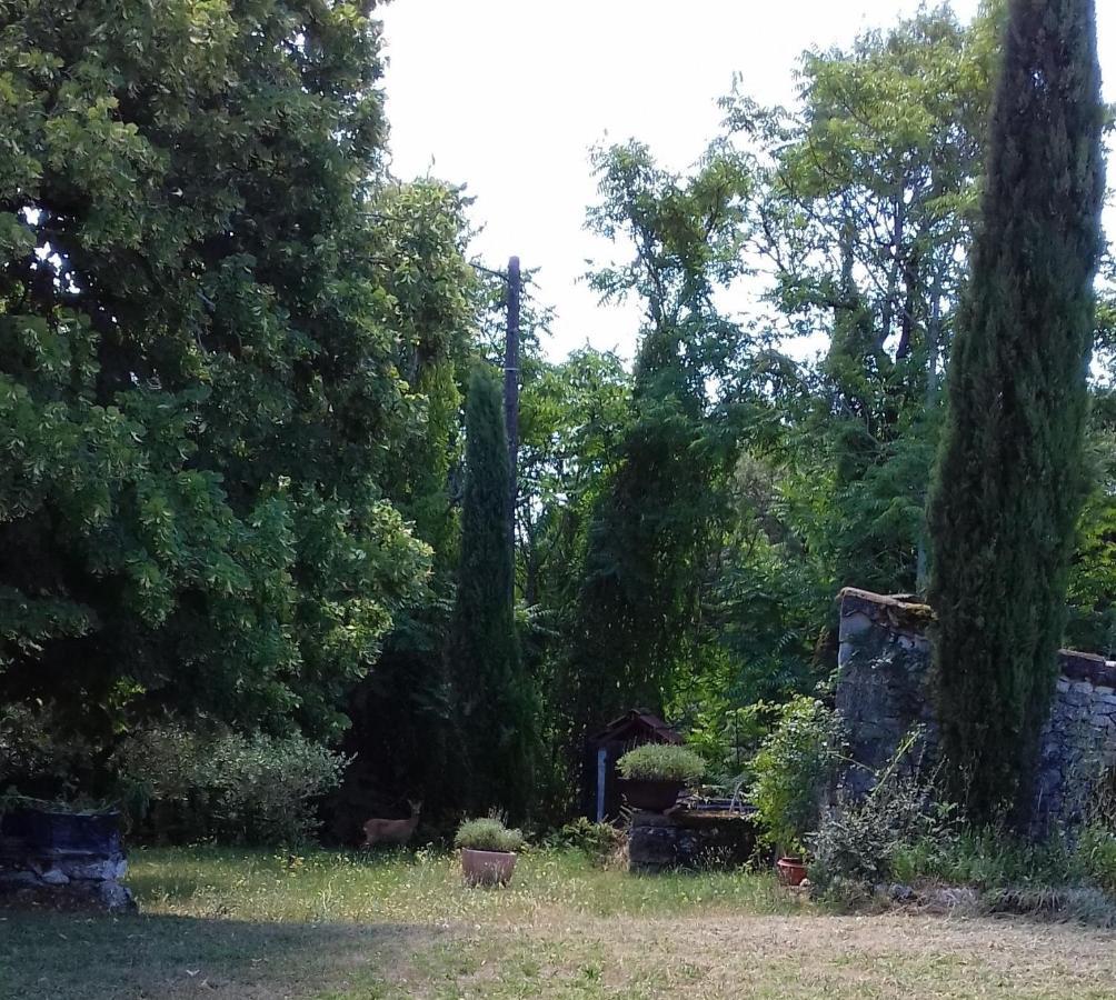 Domaine De Seguela Panzió Fargues  Kültér fotó